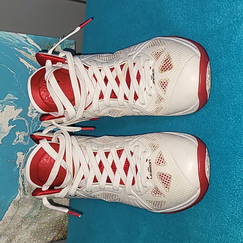 Nike LeBron James 8 P.S.